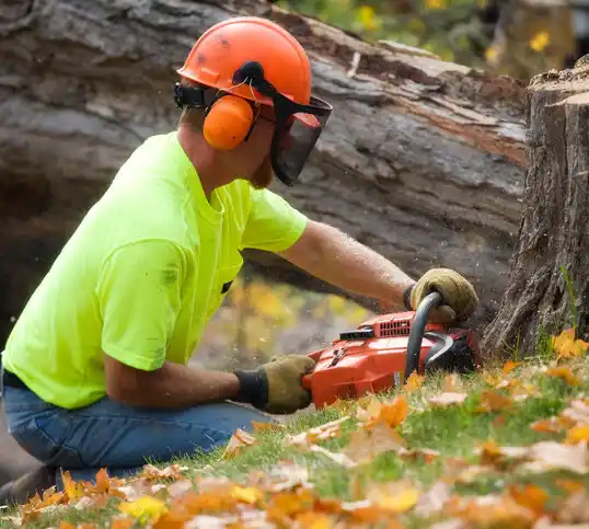 tree services Nevada